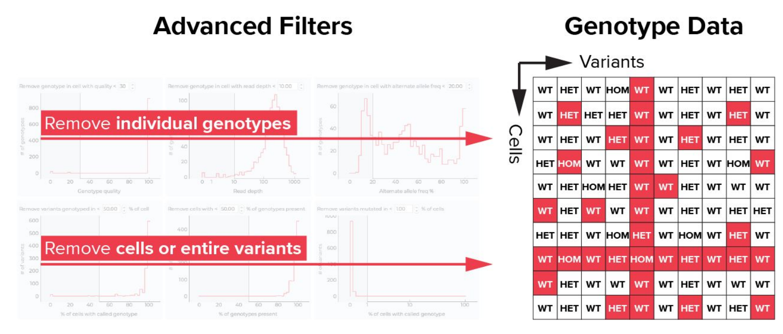 Advance Filtering Tapestri