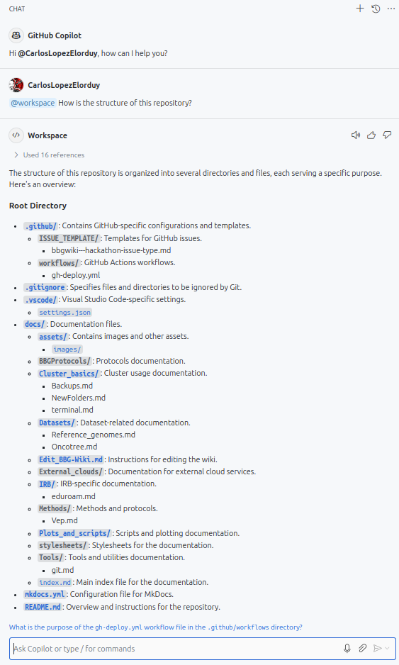 Example Github Copilot @workspace