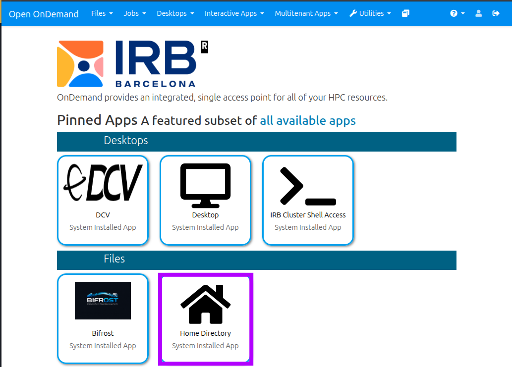 Open OnDemand Home Directory System app screenshot