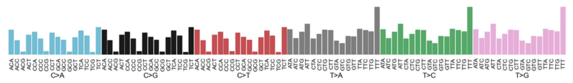 Plot mutational profile